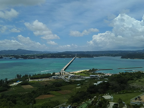 【社員旅行】沖縄 in 2013